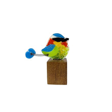 Upload image to gallery viewer, Torogocyte