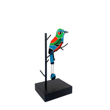 Upload image to gallery viewer, Torogoz Vitronatura
