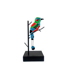 Upload image to gallery viewer, Torogoz Vitronatura