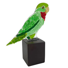 Upload image to gallery viewer, Red throat Parrot