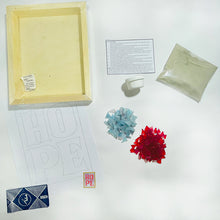 Upload image to gallery viewer, Crafts: Mosaic assembly kit with glass, youth design - art 1