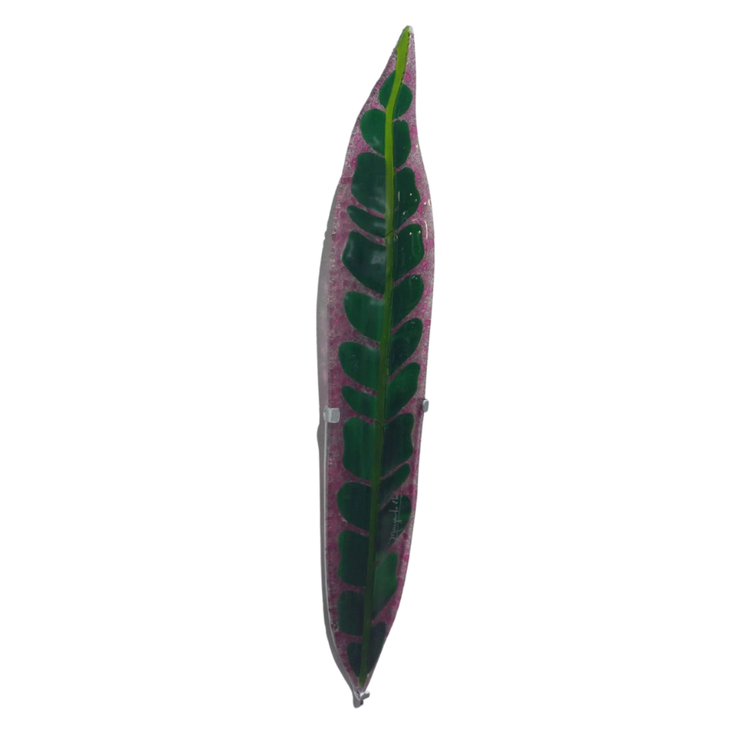 Croto Híbrido de Hoja Larga1