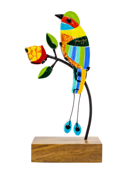 Canto de mi tierra grande