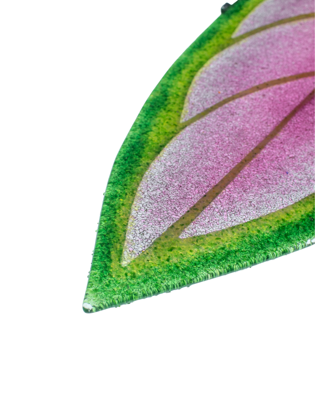 aglaonema de fuego Aglaonema de Fuego