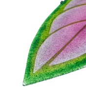 Upload image to gallery viewer, Aglaonema de Fuego