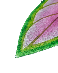 Aglaonema de Fuego