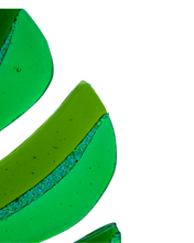 Upload image to gallery viewer, Filodendro Monstera