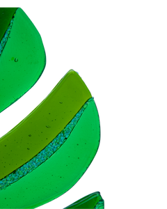 Filodendro Monstera