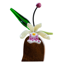 Cargar imagen en el visor de la galería, Orquídeas