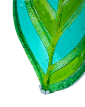 Upload image to gallery viewer, Calathea