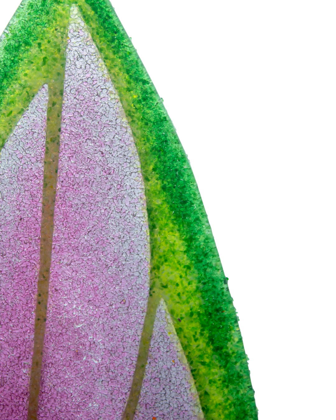 aglaonema de fuego Aglaonema de Fuego