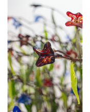 Upload image to gallery viewer, Nature through my eyes