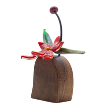 Cargar imagen en el visor de la galería, Orquídeas