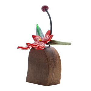 Orquídeas