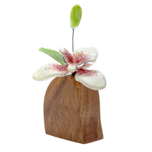 Cargar imagen en el visor de la galería, Orquídeas
