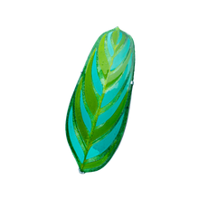 Upload image to gallery viewer, Calathea