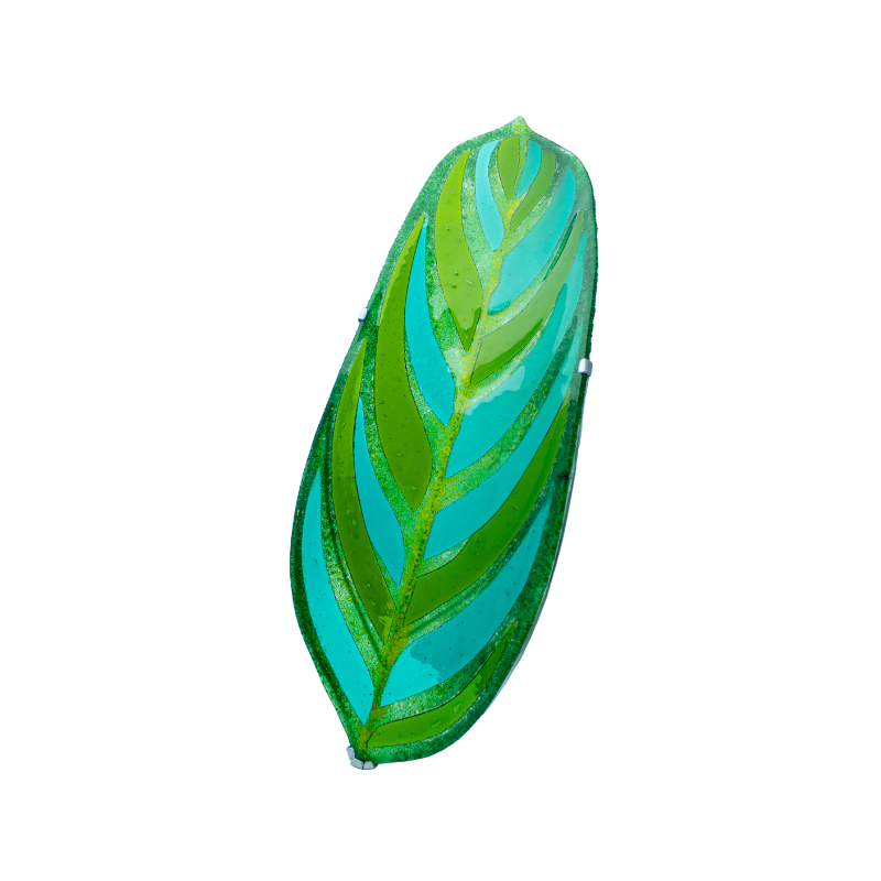 Calathea