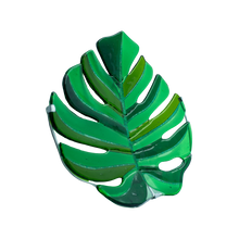 Upload image to gallery viewer, Filodendro Monstera
