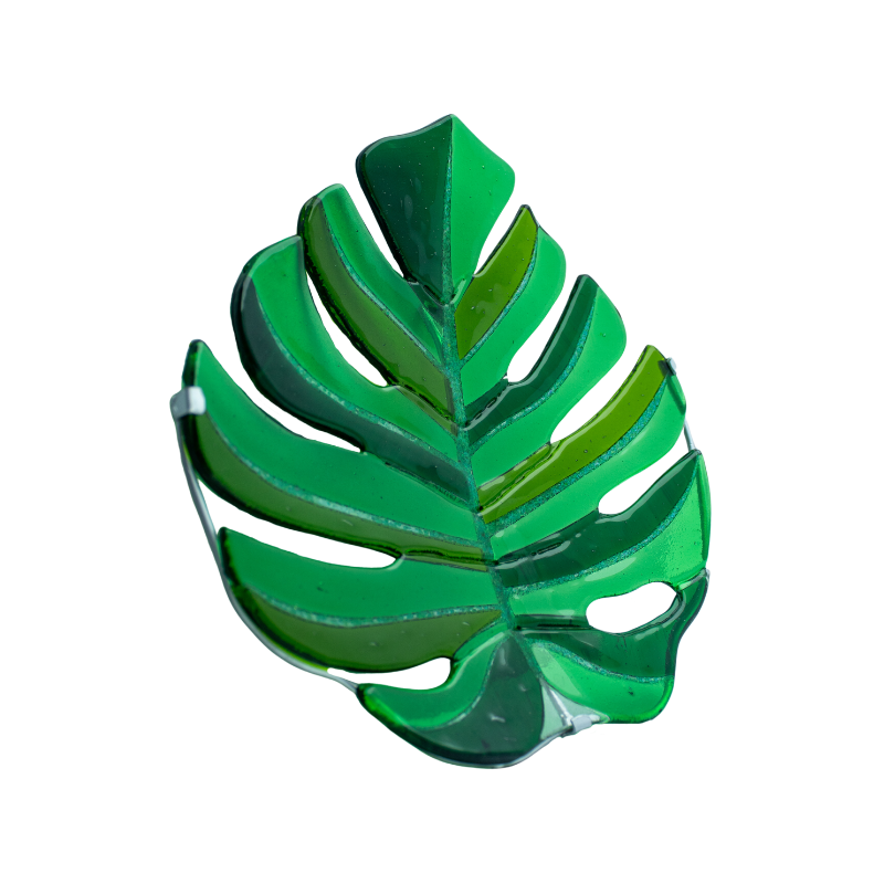 Filodendro Monstera