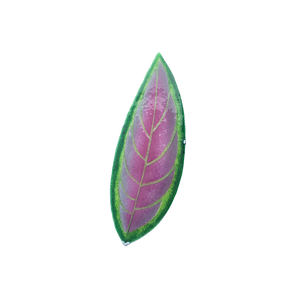 Aglaonema de Fuego