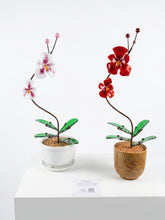Cargar imagen en el visor de la galería, ORQUIDEAS 2 FLORES