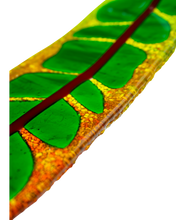 Upload image to gallery viewer, Croto Híbrido de Hoja Larga2