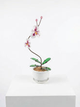 Cargar imagen en el visor de la galería, ORQUIDEAS 2 FLORES