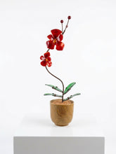Cargar imagen en el visor de la galería, ORQUIDEAS 2 FLORES