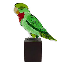Upload image to gallery viewer, Red throat Parrot