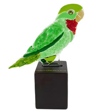 Upload image to gallery viewer, Red throat Parrot